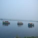 Vraj-Yatra-2014- (1310)